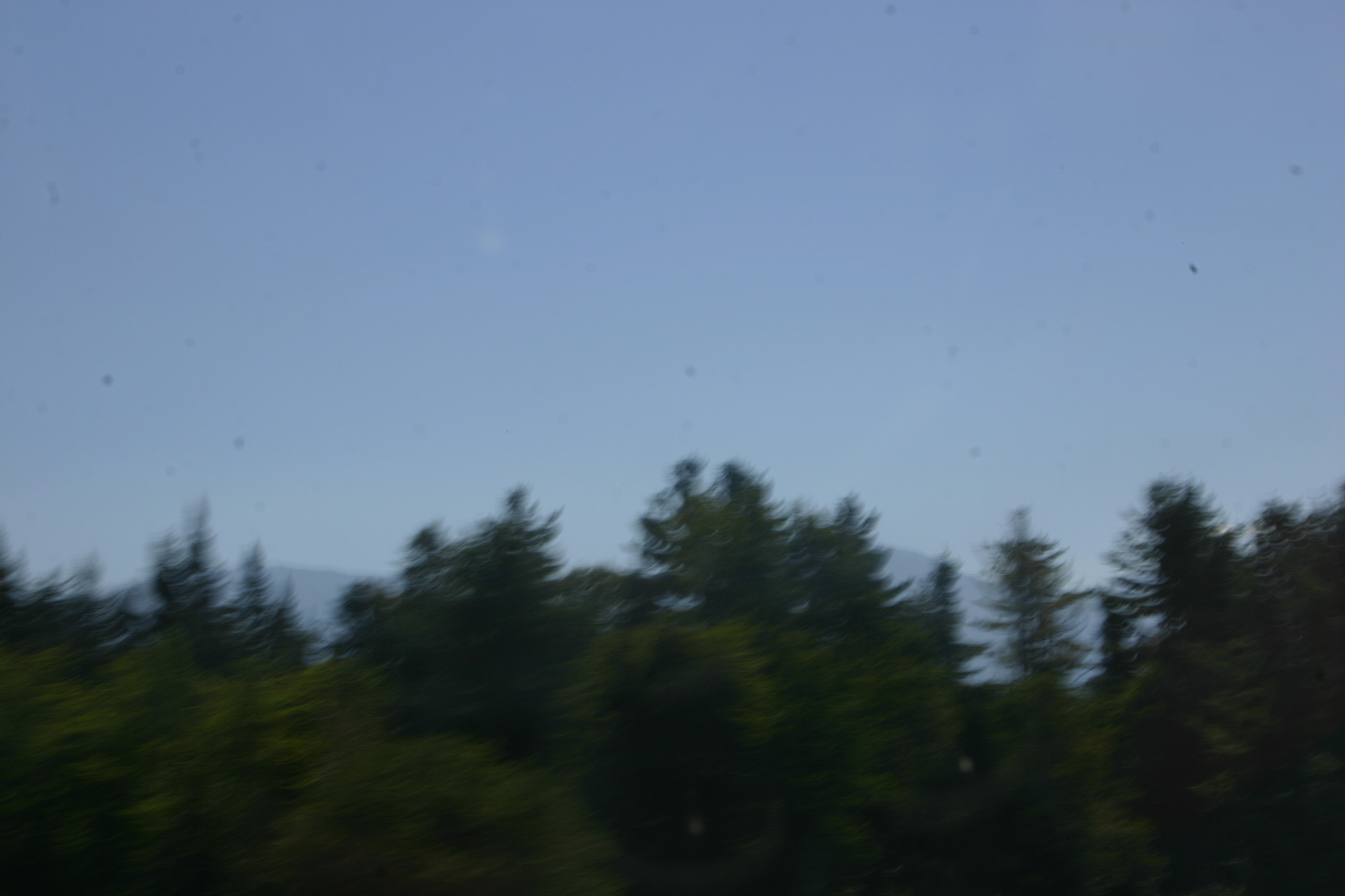 picture 82.